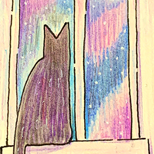 cat sitting in a window looking at aurora borealis and snow